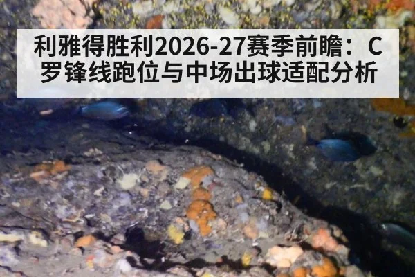 利雅得胜利2026-27赛季前瞻：C罗锋线跑位与中场出球适配分析